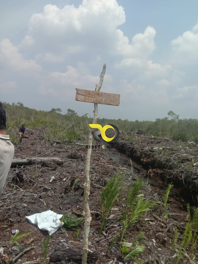 JUAL LAHAN UNTUK PERKEBUNAN KELAPA SAWIT